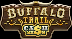 Buffalo Trail CashMesh